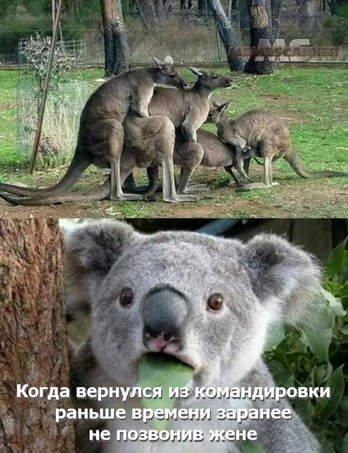 Немного картинок на вечер