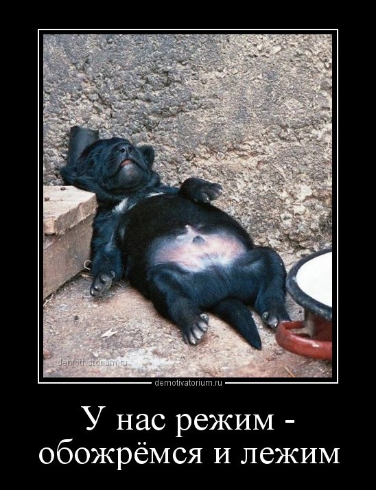 Картинки в рамках с надписями