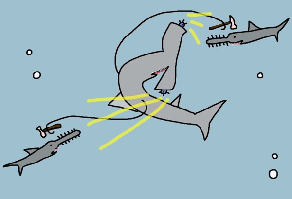 Почему акулы постоянно в движении. Акула молот Мем. Акула молот в движении. Акула молот рисунок. Мозг акулы молота.
