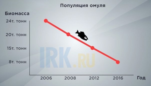 Строящийся на Байкале завод по розливу воды 80% продукции будет отправлять на экспорт