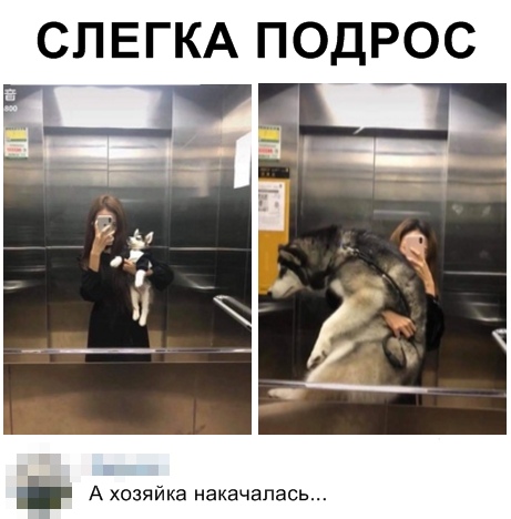 Нестандартный юмор