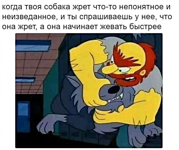 Картинки с надписями, истории и анекдоты
