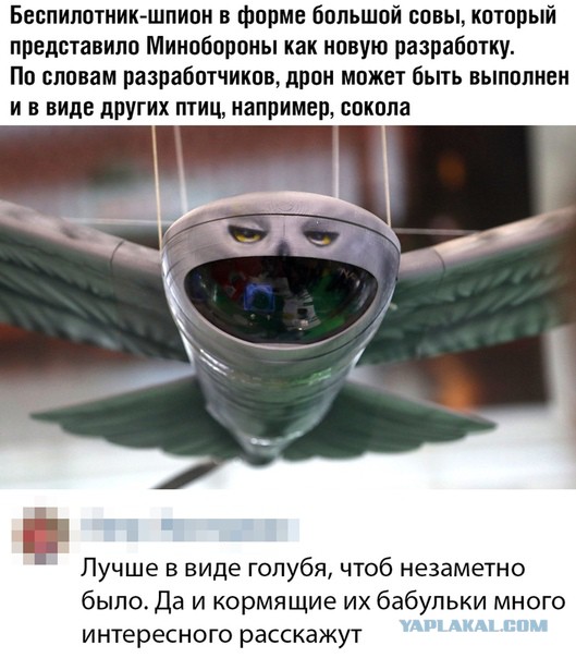 Прикольные комментарии и высказывания из Сети