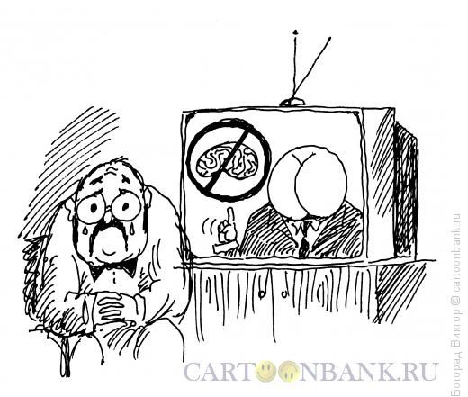 Последние новости ВЭФ