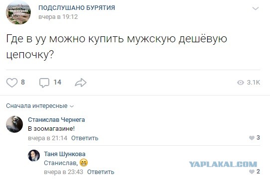 Чуток картинок 14.10.19