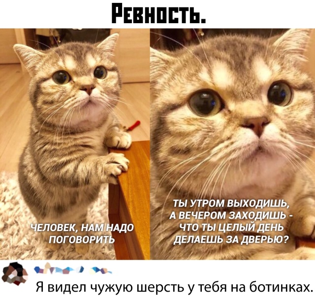 Картинки с буквами 05.11.19