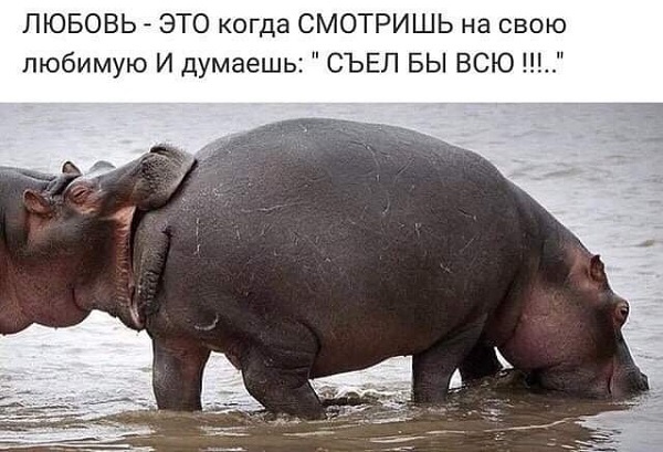 Бредзона 04.01.20