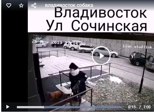 Во Владивостоке мужчина, выходящий из подъезда пнул собаку, а за тем отпинал хозяйку животного