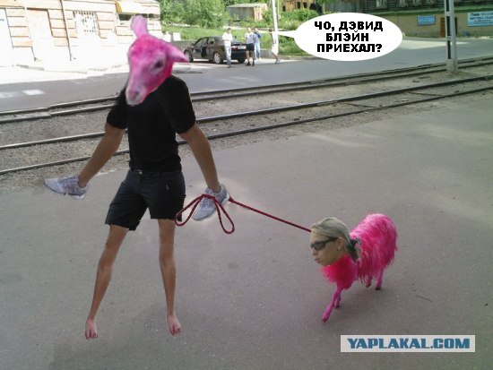 Перис Хилтон из Фрязино