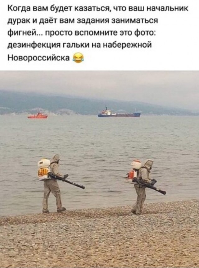 Бредзона 05.06.2020