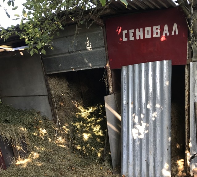 Эволюция жен