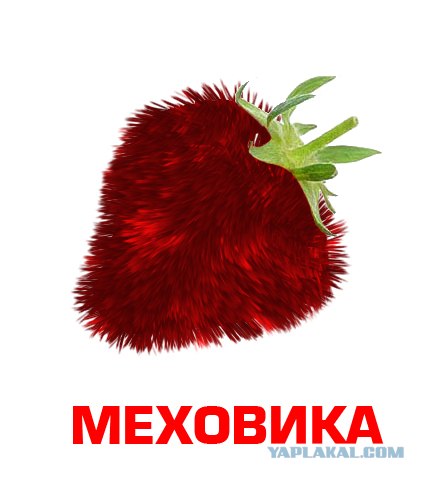Фотожаба: Лето, фрукты, генетика!