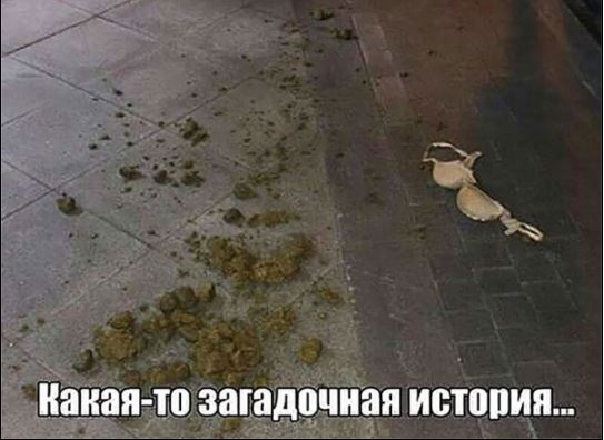 Бредзона 04.10.20