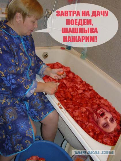 Фотожаба: Грибы на ноутбуке