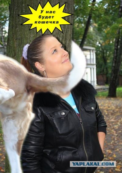 Первый опыт в фотошопе