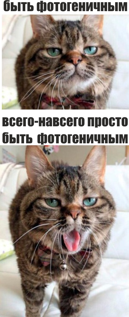 Юмор из соцсетей Ч.1
