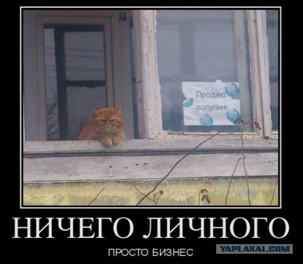 Фу, пошлятина одна