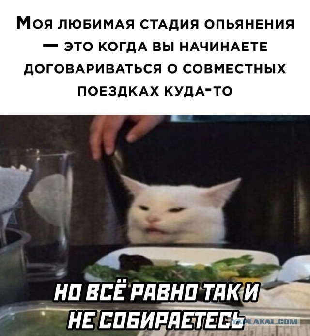 Алкопост 9.07.21