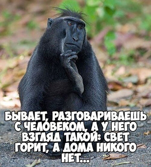 Картинки и мемы для настроения 05.08.2021