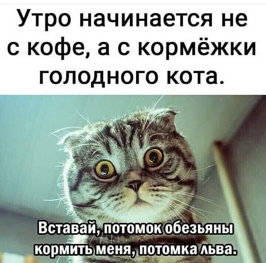 Так себе картинки 04.11.21