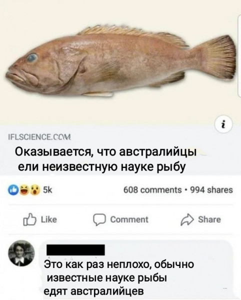 Так себе картинки 17.12.2021