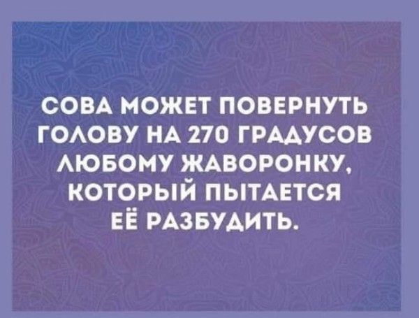 Пятница. Вечер. Картинки всякие #13