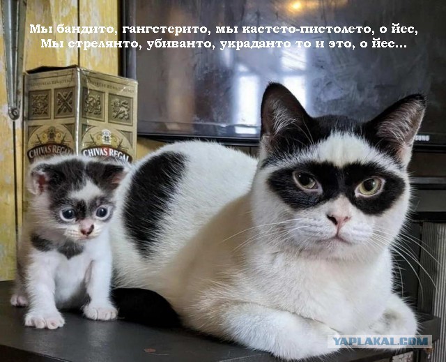 Картинки с надписями 31.07.22