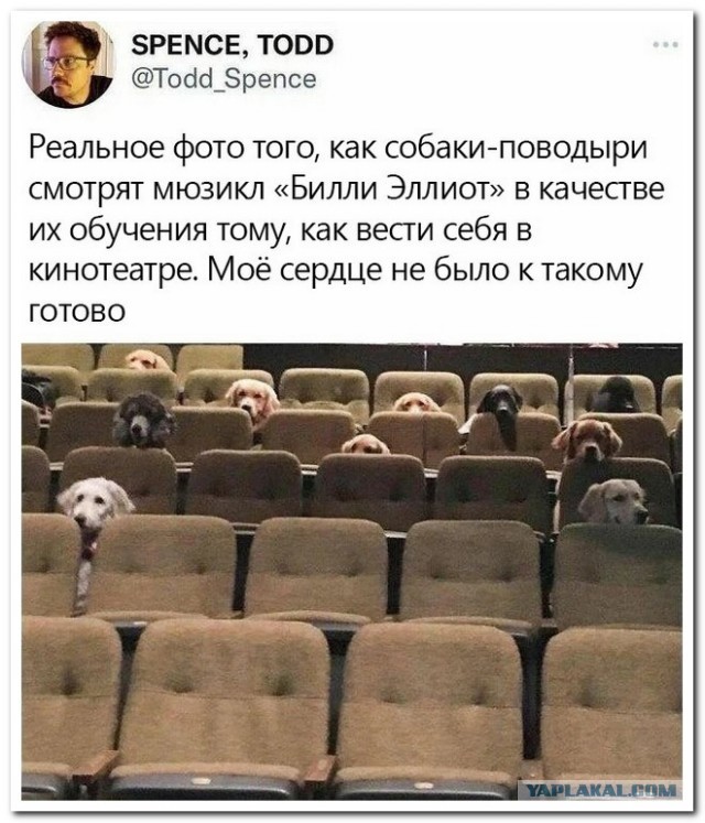 Забавные комментарии из социальных сетей (09.01.23)