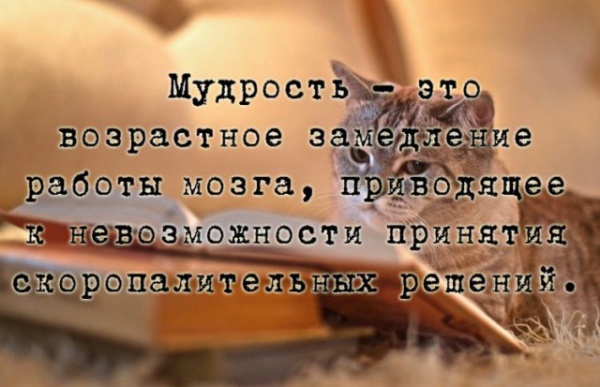Картинки и мемы, всяко разно - 179