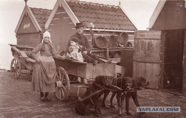17 раз, когда история была такой интересной, что хочется снова пролистать школьный учебник