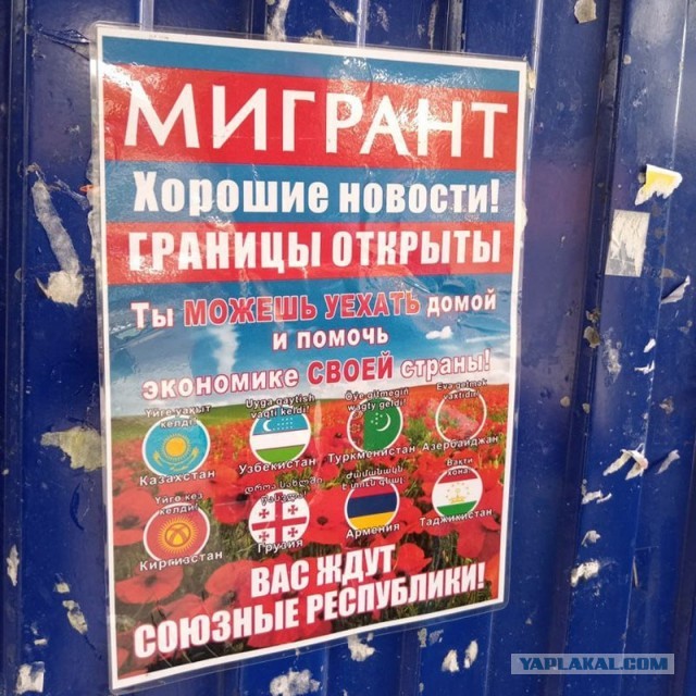 В Новосибирске появились вот такие наклейки. Их заметили на остановках общественного транспорта