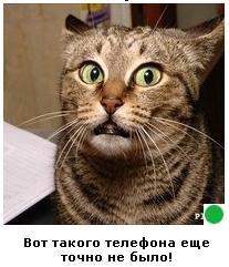Автодемотиватор на ЯПе