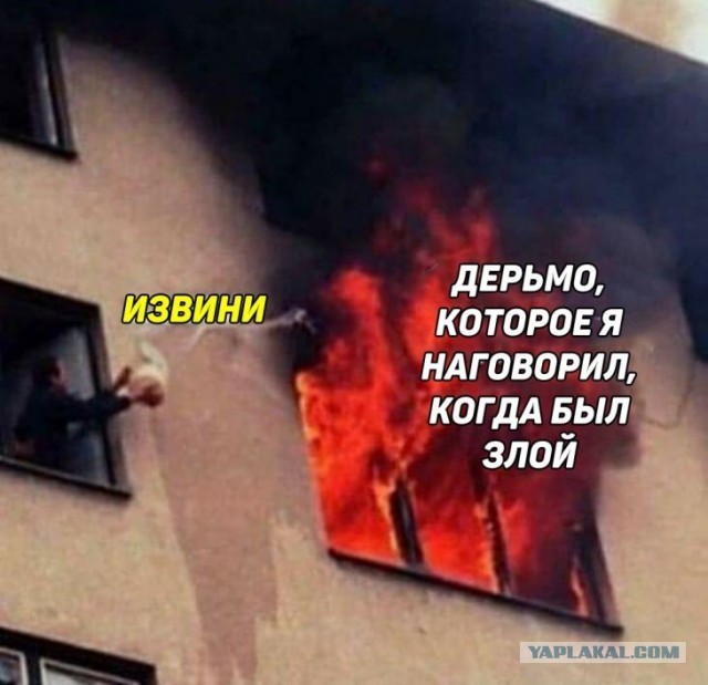 В смысле  - депутат Госдумы?!