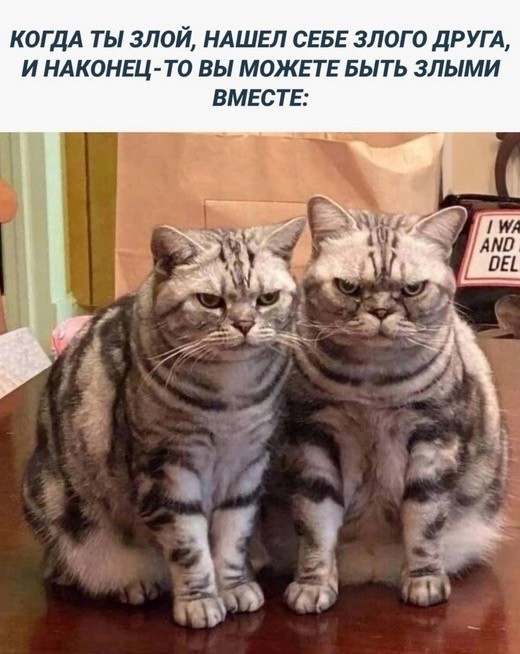 Завалялось тут случайно немного забавных картинок