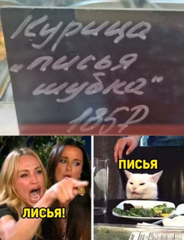 Знаменитый кот