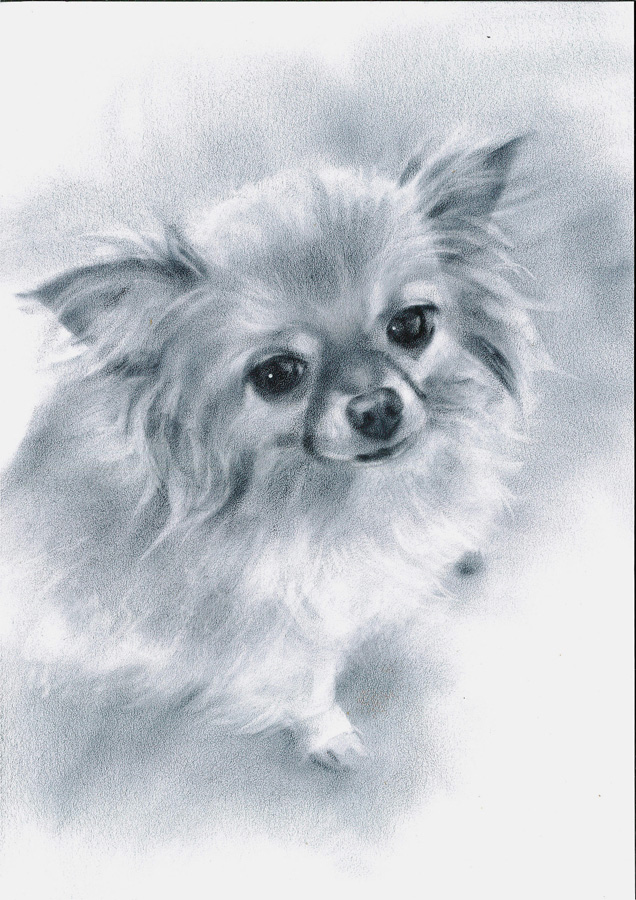 Мои рисунки