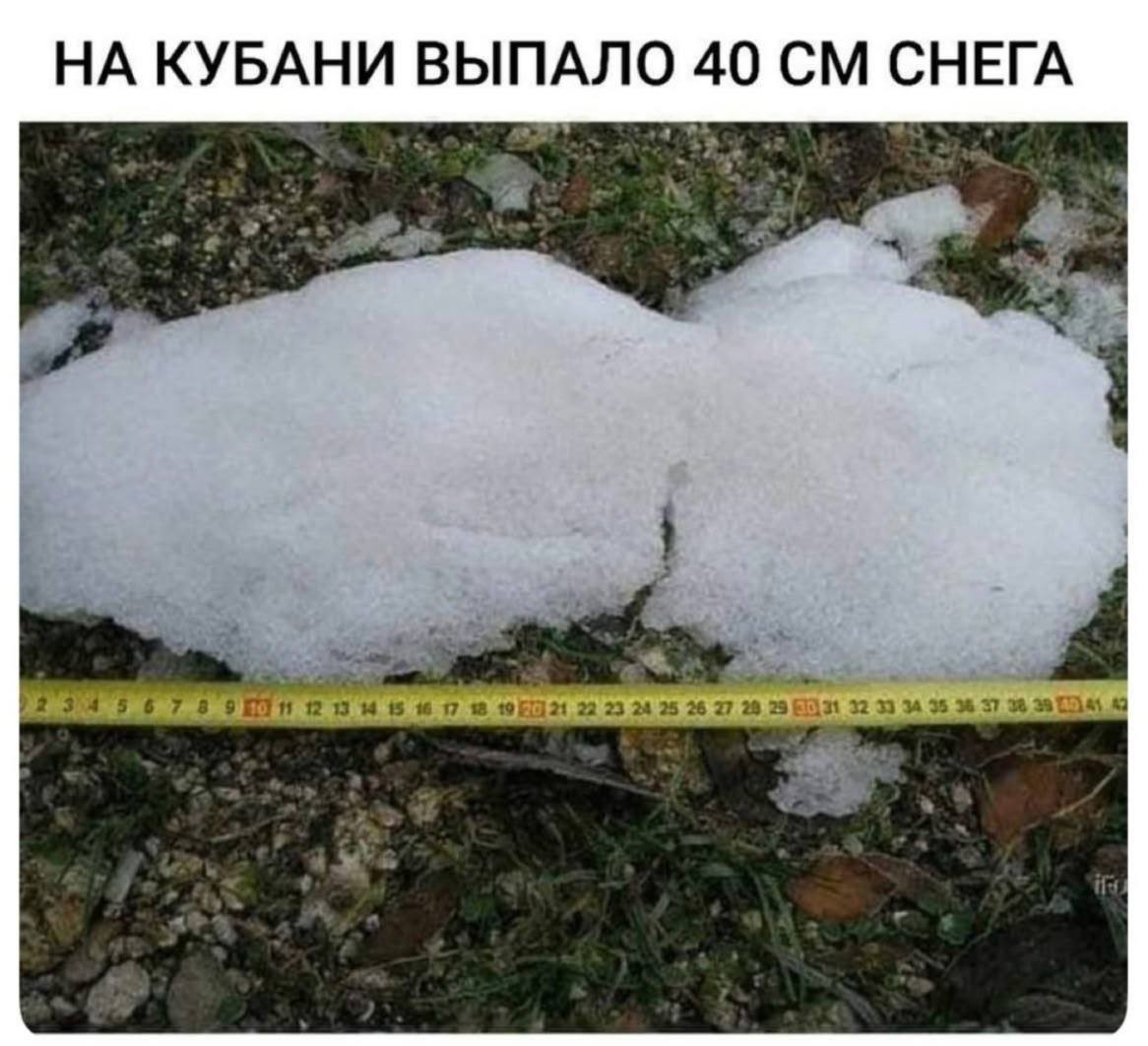 20653125.jpg