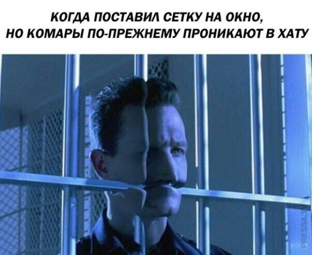 Мои избранные картинки часть 6