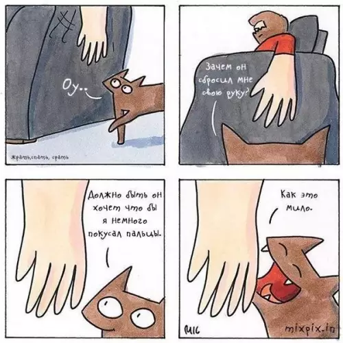 Картиночки, баянчики 17 февраля