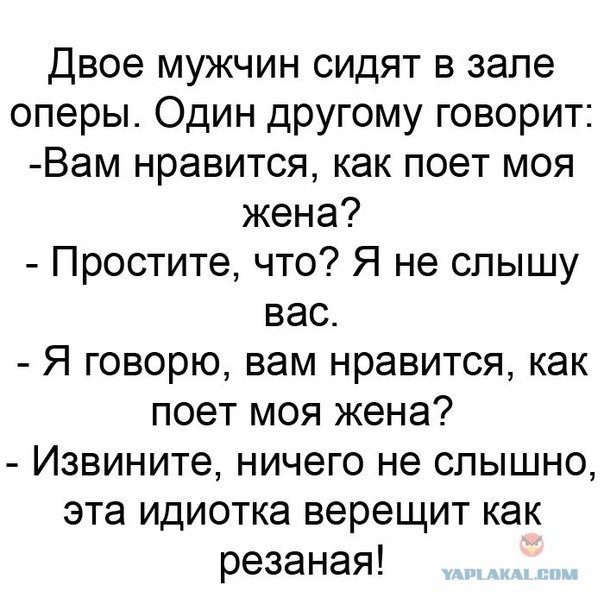Феличита или Фигаро тута?