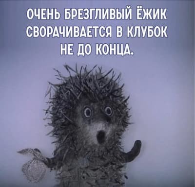 Ежик раскоряка