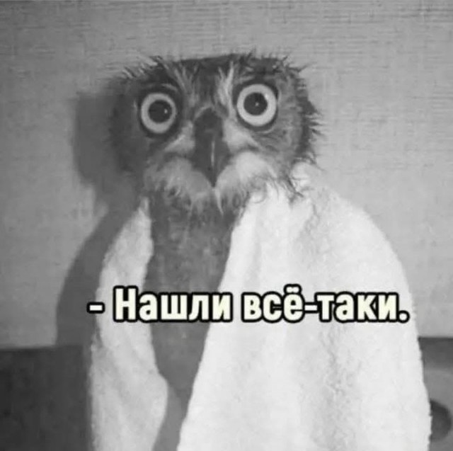 Какой из них наш?!
