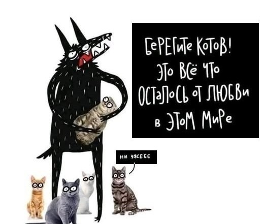 Про кошек