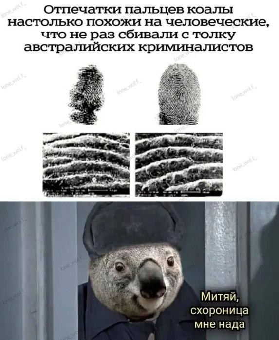 Картинки для деградации 285 (разной степени свежести)