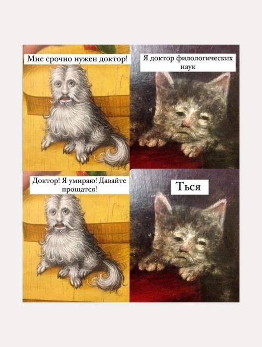 Картинки для деградации 295 (разной степени свежести)