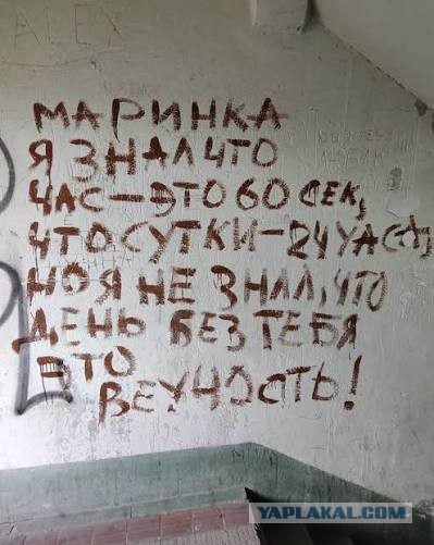 Почему в СССР стены в подъездах красили наполовину в зеленый или синий цвет?