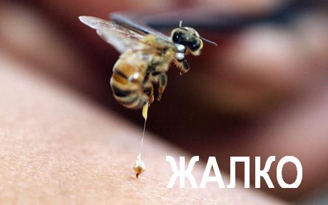 Кто наркоман?