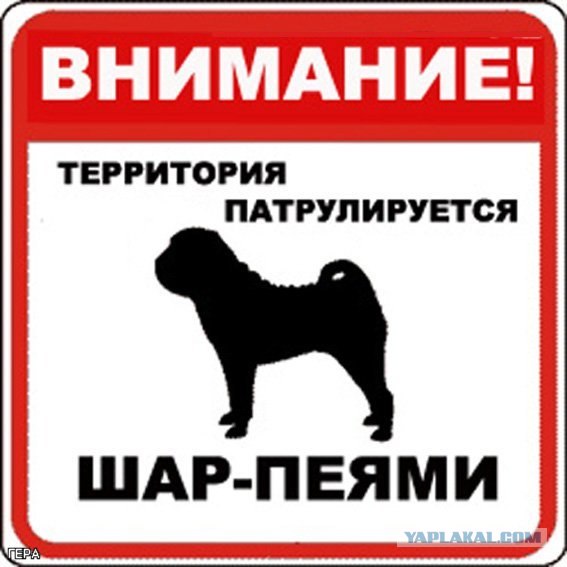 Оригинальное предупреждение на счет собаки