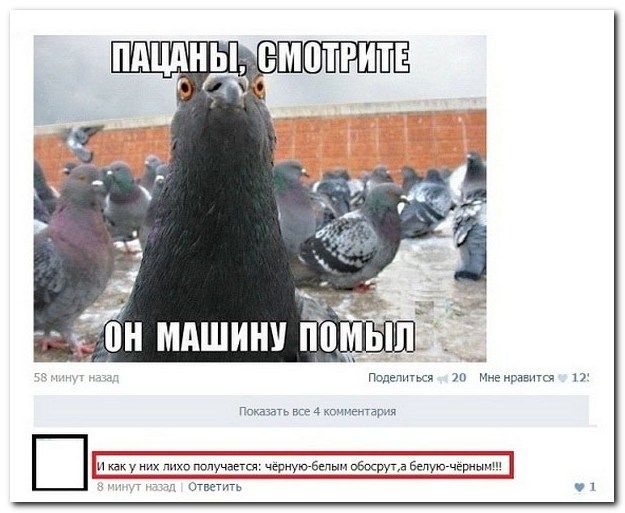 Смешные комментарии на 16.04.2014