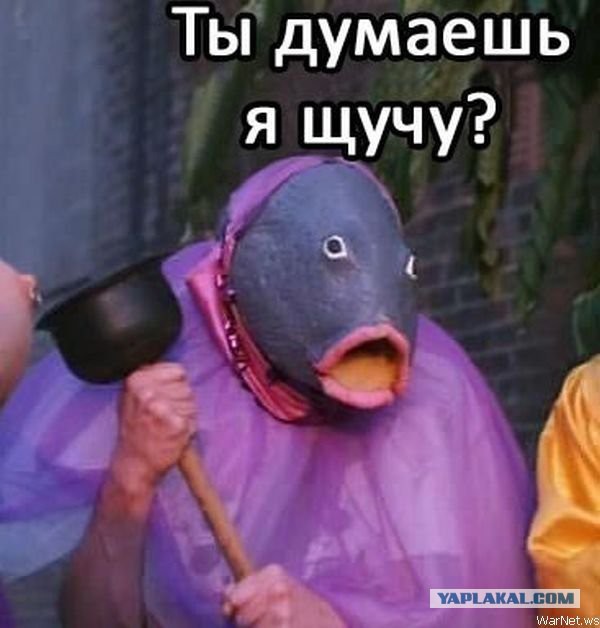 Че за хрень?